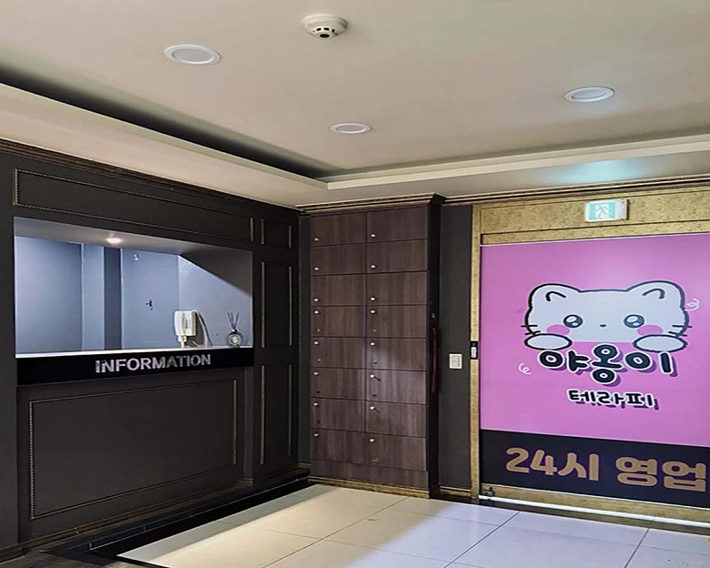 항동7가 야옹이테라피2
