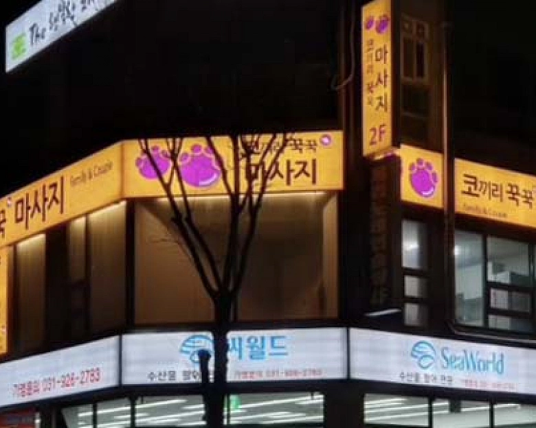장항동 코끼리꾹꾹테라피14