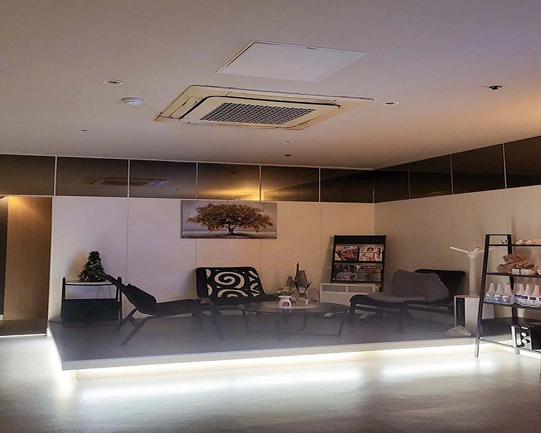 지행동 VIP2