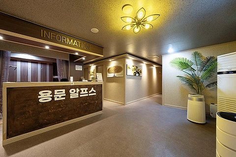 용문면 알프스마사지