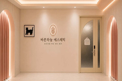 논현동 여성전용 바른하늘에스테틱(신논현역)