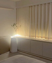 청담동 청담코코테라피